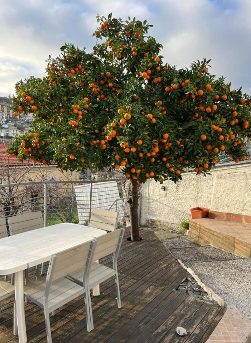 Villetta Fioregreco Sanremo Exteriér fotografie